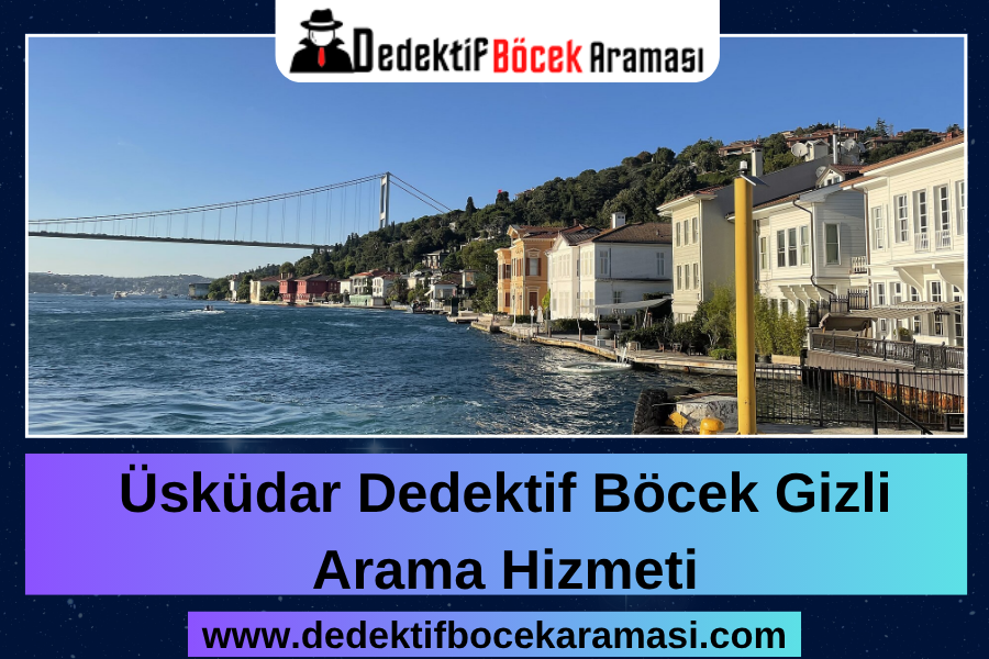 Üsküdar Dedektif Böcek Gizli Arama Hizmeti