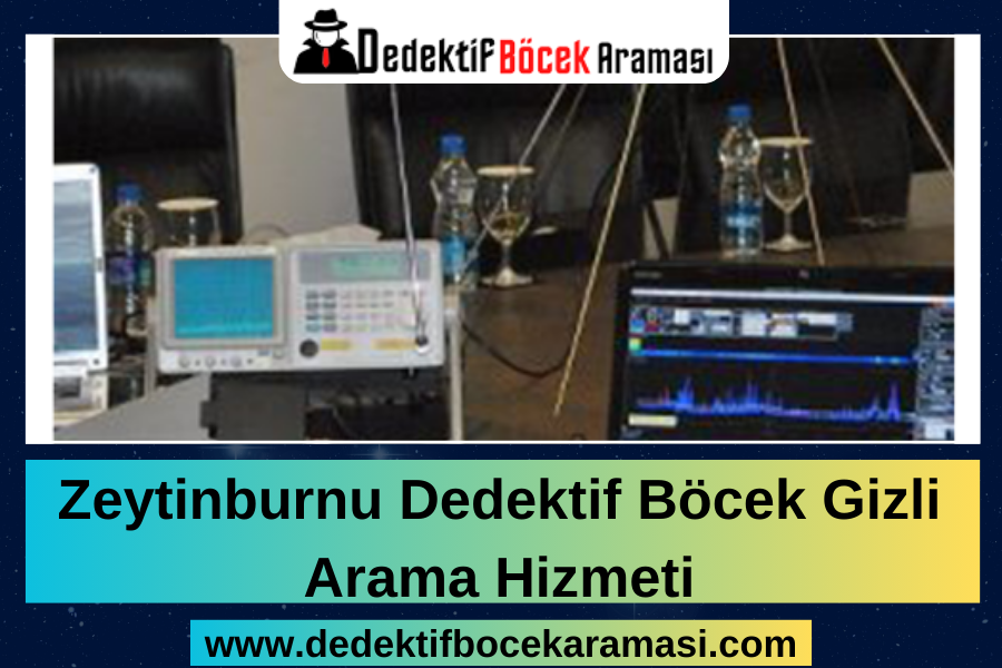 Zeytinburnu Dedektif Böcek Gizli Arama Hizmeti